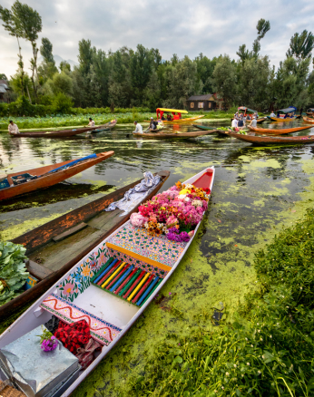 Tours to kashmir