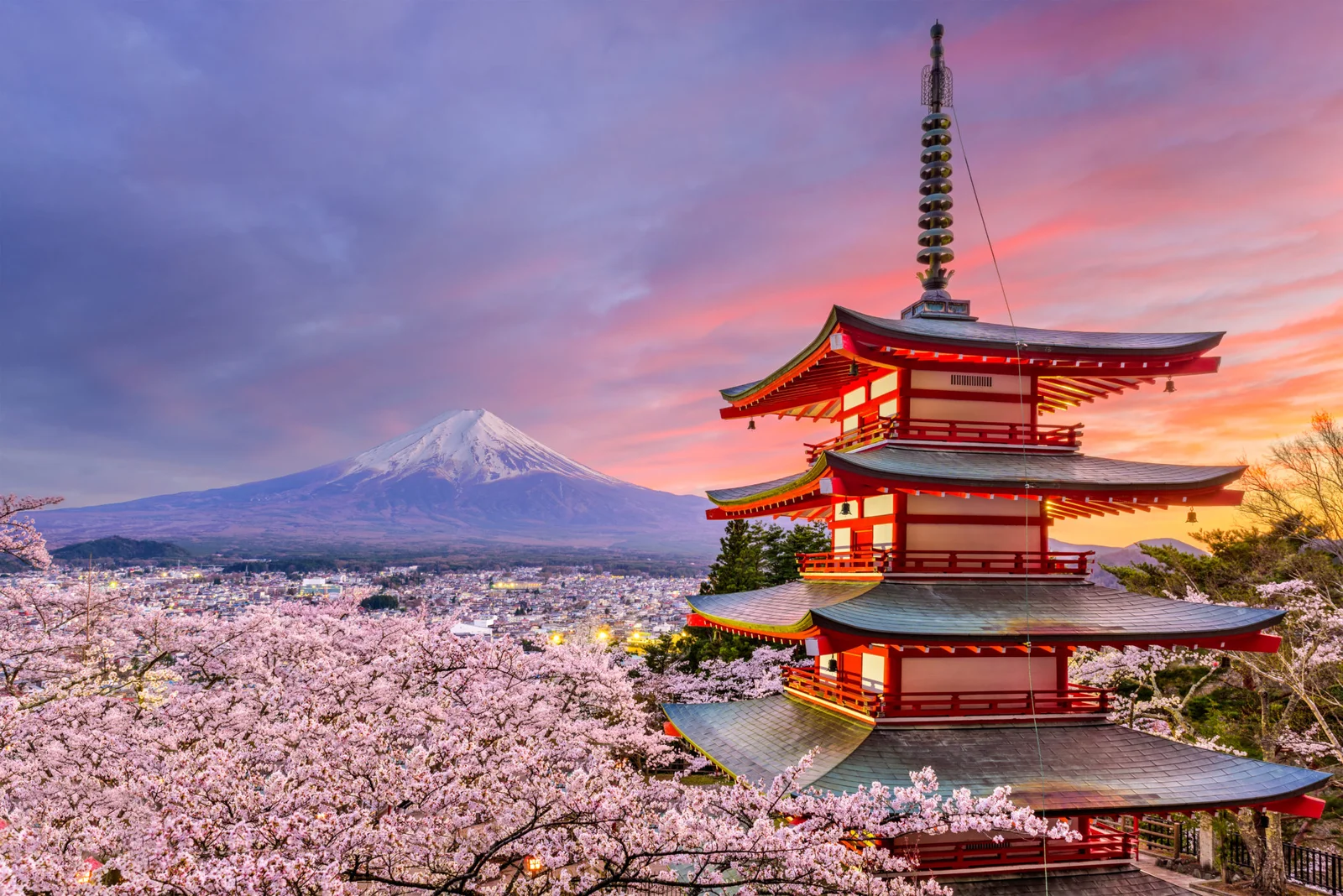 Tours to Tokyo