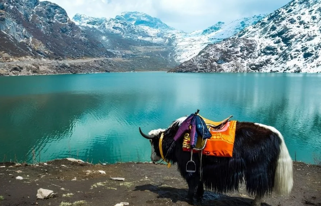 Tours to Sikkim ( Lachen )