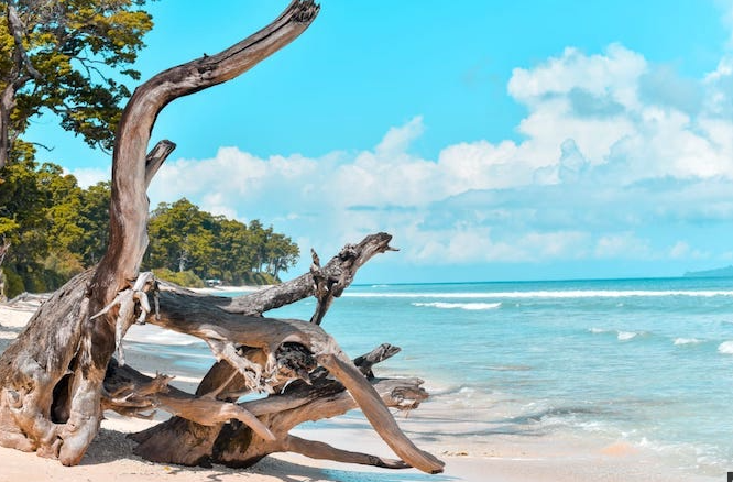 Tours to Andaman ( Havelock )