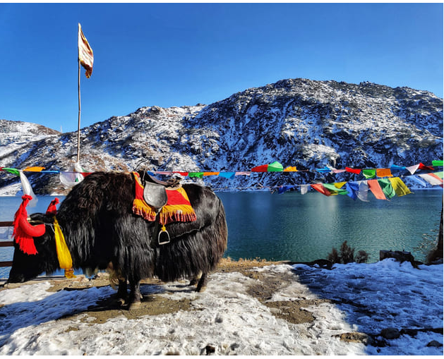 Gangtok 3N • Lachen 1N • Lachung 2N – The Ultimate Sikkim Himalayan Escape