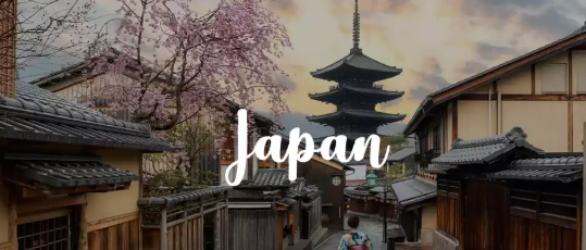 5N6D Japan Family Vacation