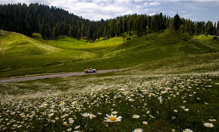 Tours to Kashmir ( Gulmarg)